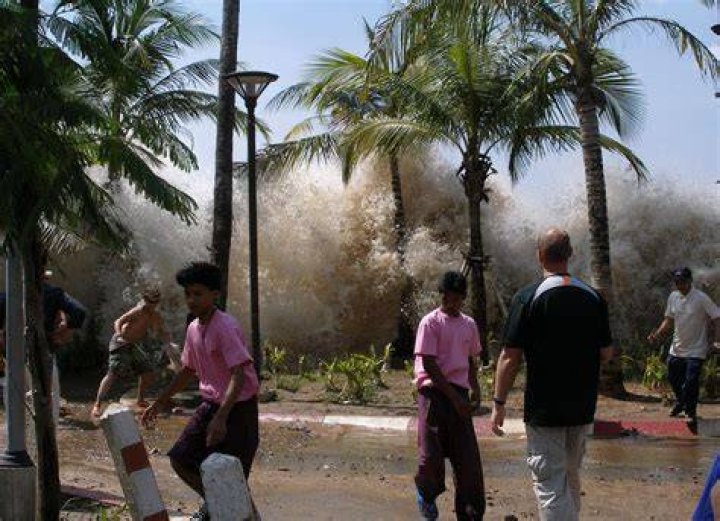 2004 Tsunami Picture