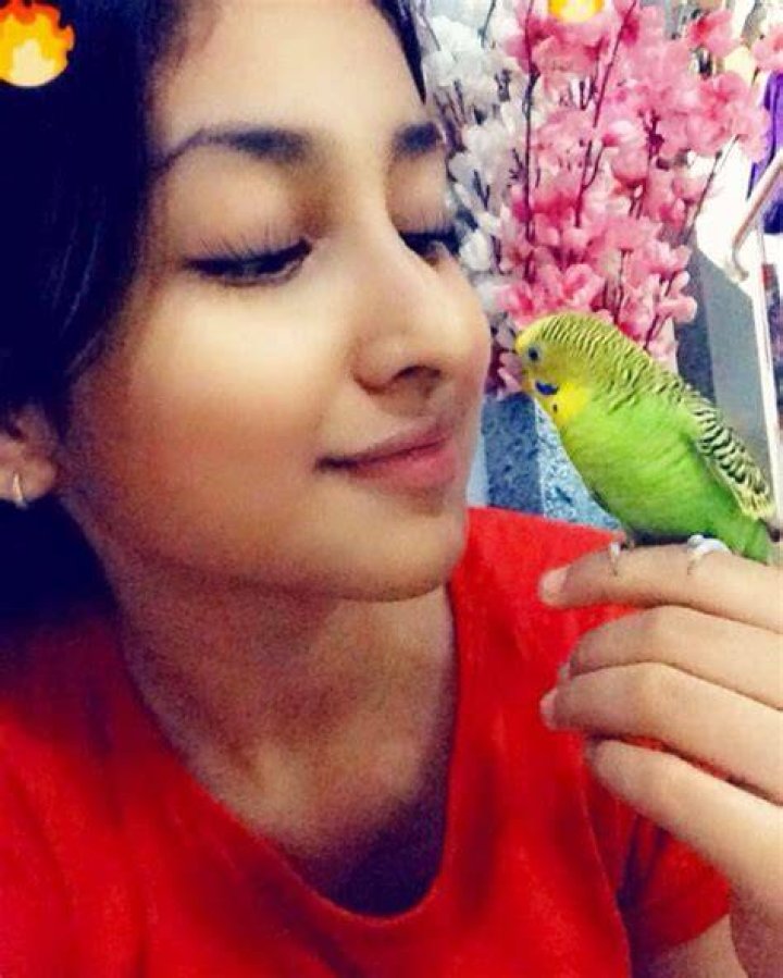 Anchal is a bird lover