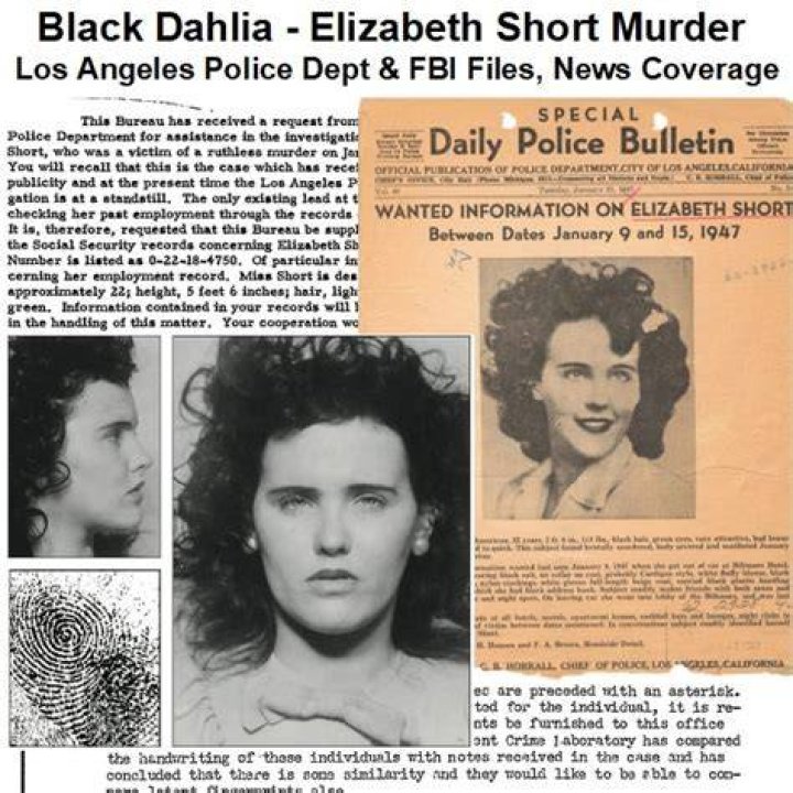 Black Dahlia
