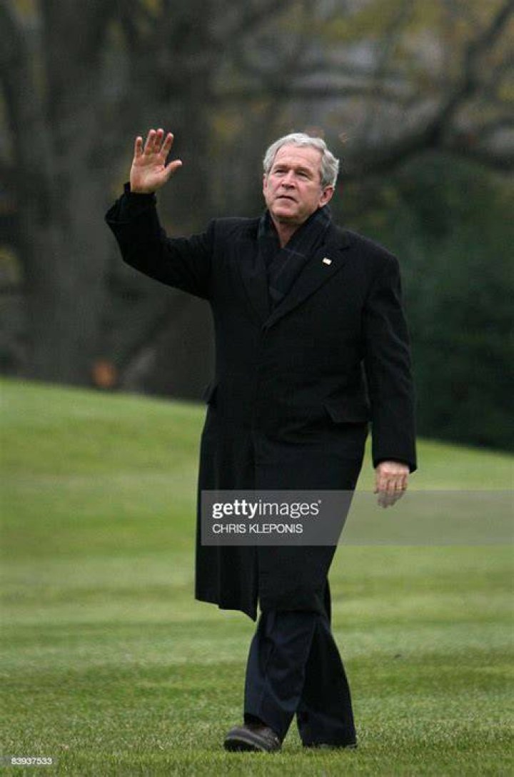 Bush Waving Bushusuru