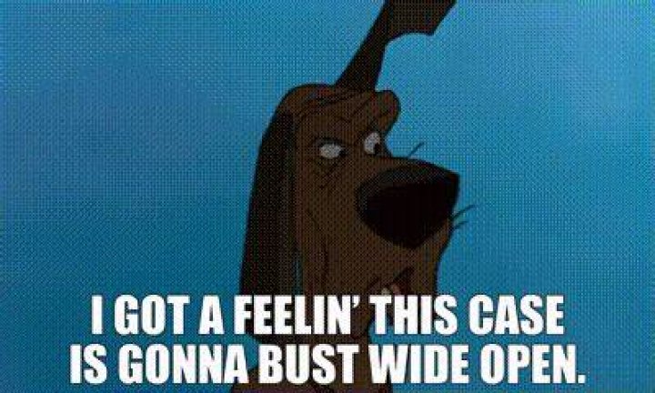 Bust It Wide Open