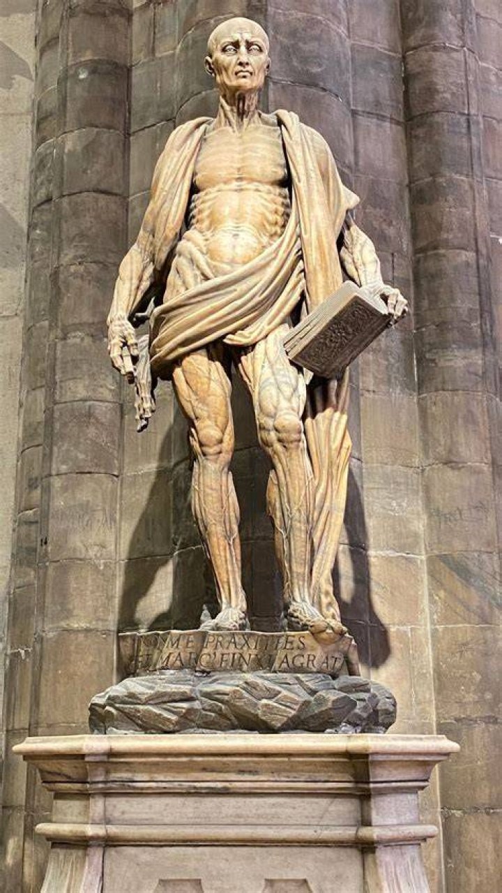 Bust Of Flayed Man