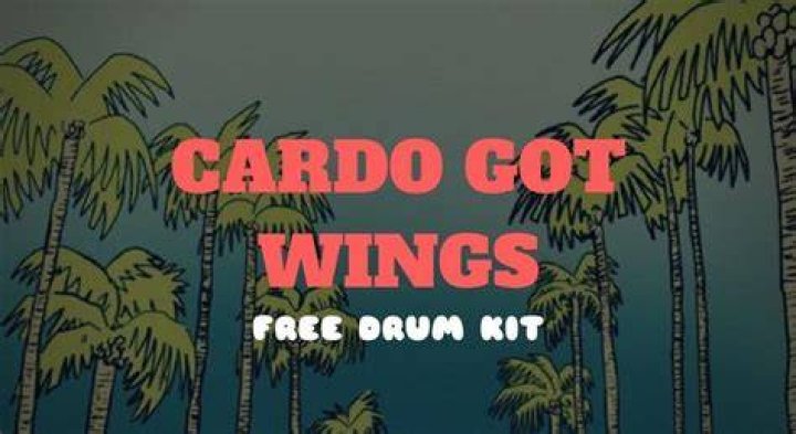 Cardo Got Wingz