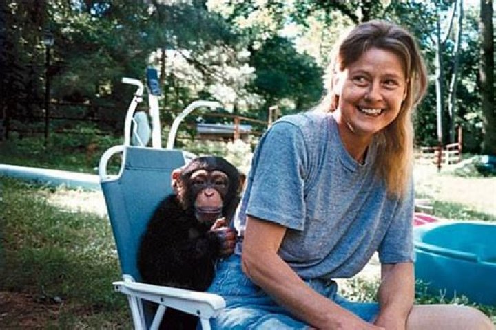 Charla Nash And Travis The Chimp