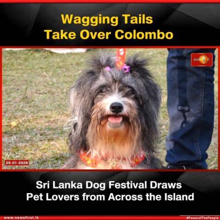Colombo with her pet dog