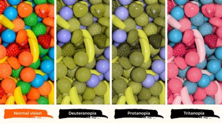 Color Blind Perception