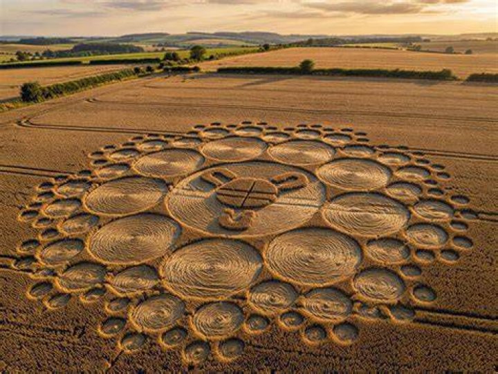Crop Circle Creator Doug Bower