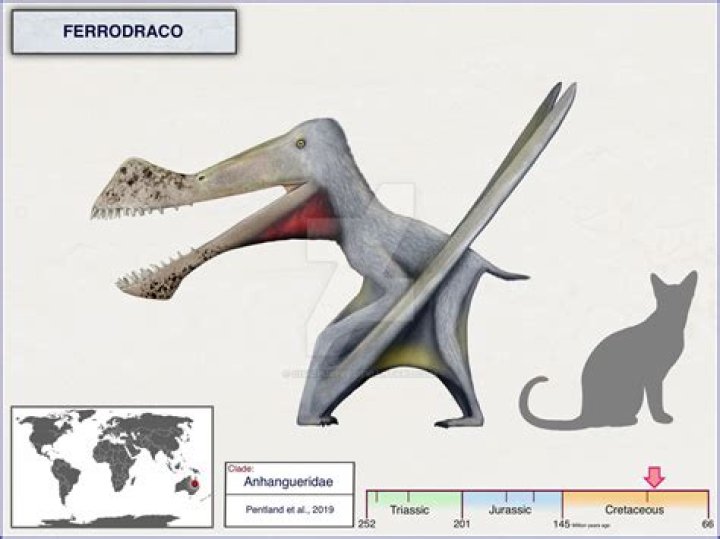Ferrodraco