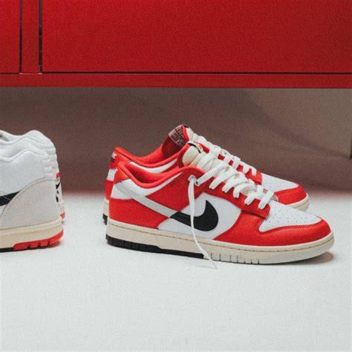 Five Best Nike Dunk Low Colorways For The Fall