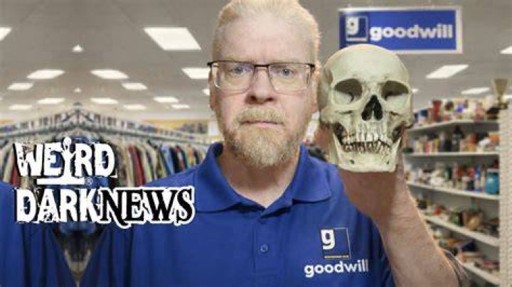 Goodwill Skull