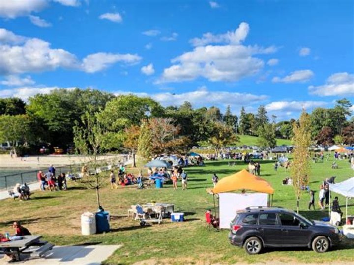 Hanging In Lynch Park