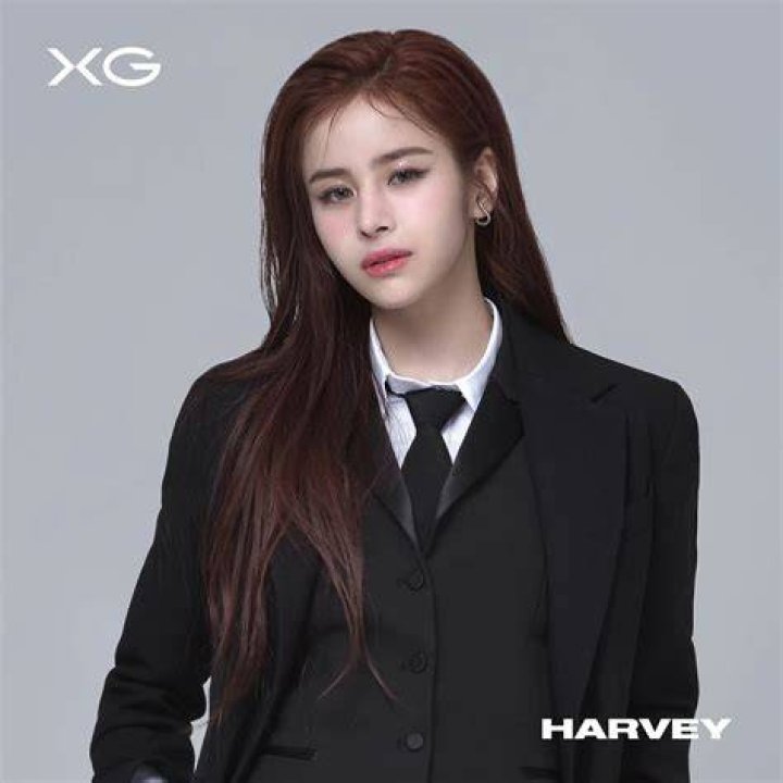 Harvey XG wiki