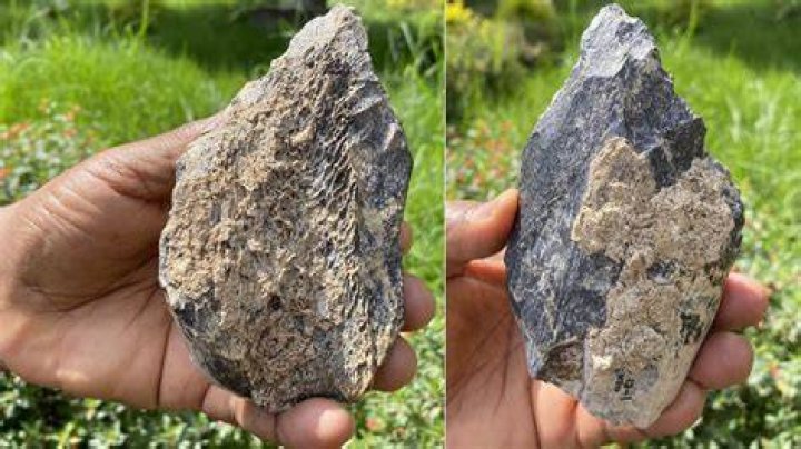 Hippo Bone Hand Ax