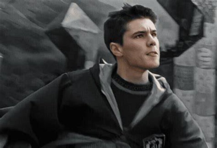 How much older is Adrian Pucey than Harry Potter?