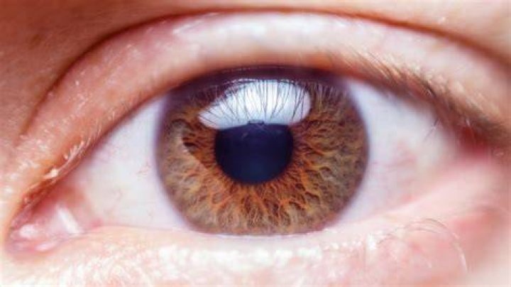 Human Eye Close Up