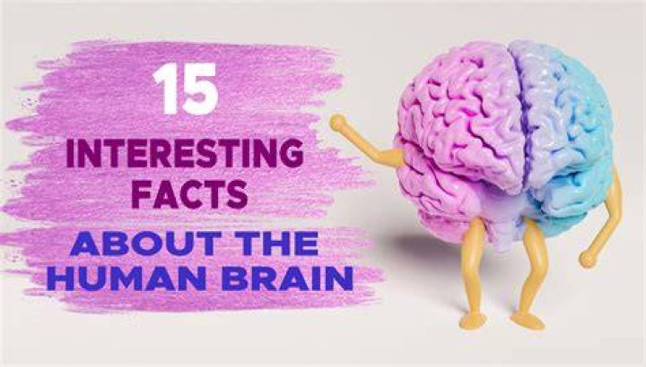 Interesting Facts about Cedric McMillian