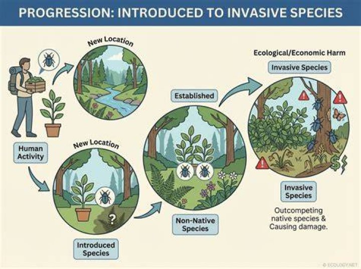Invasive Species