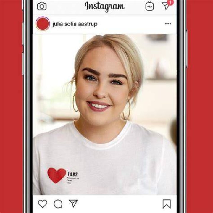 Julia Sofia Aastrup estimated Instagram earning