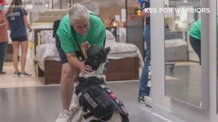 K9s For Warriors Cliff