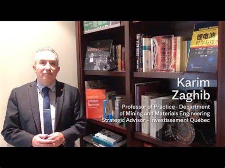 Karim Zaghib Wikipedia: Everything To Know About The Researcher