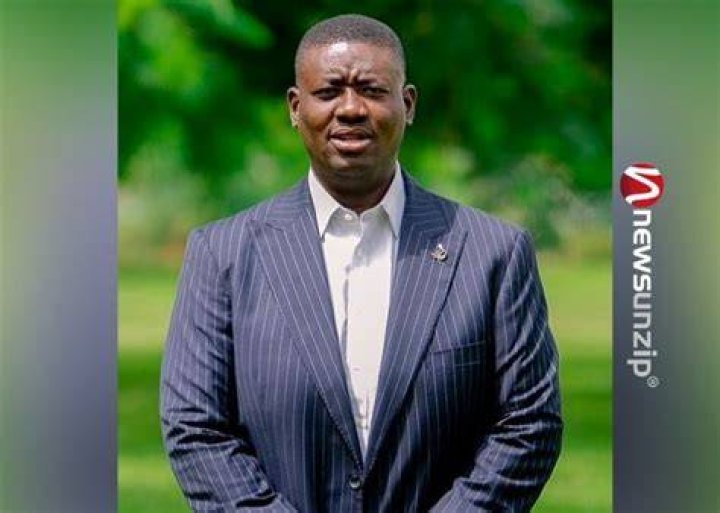 Leke Adeboye wiki
