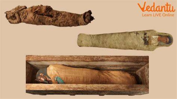 Living Person With Mummies