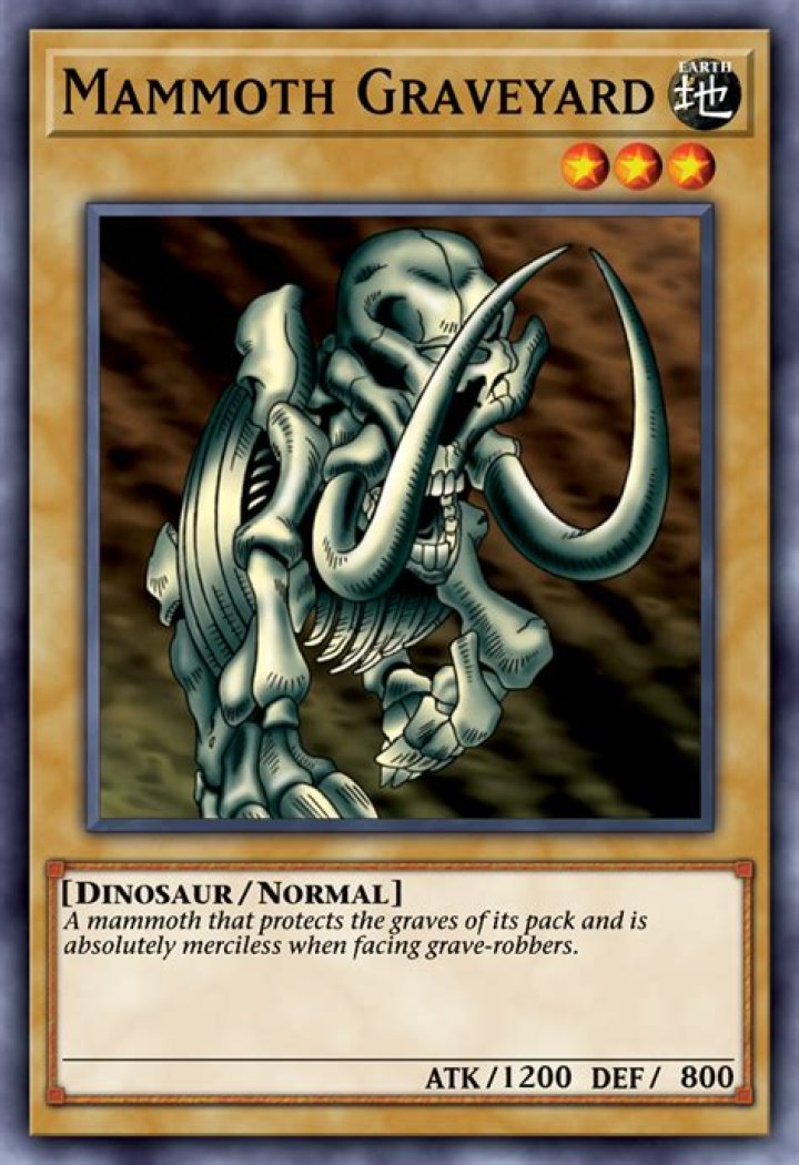 Mammoth Graveyard