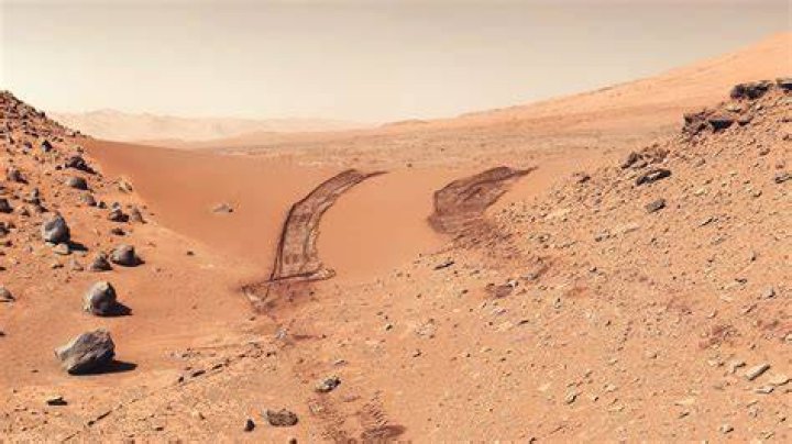 Mars Landscape Alien Trees