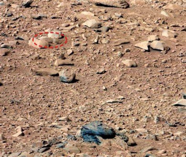 Mars Landscape Rodent