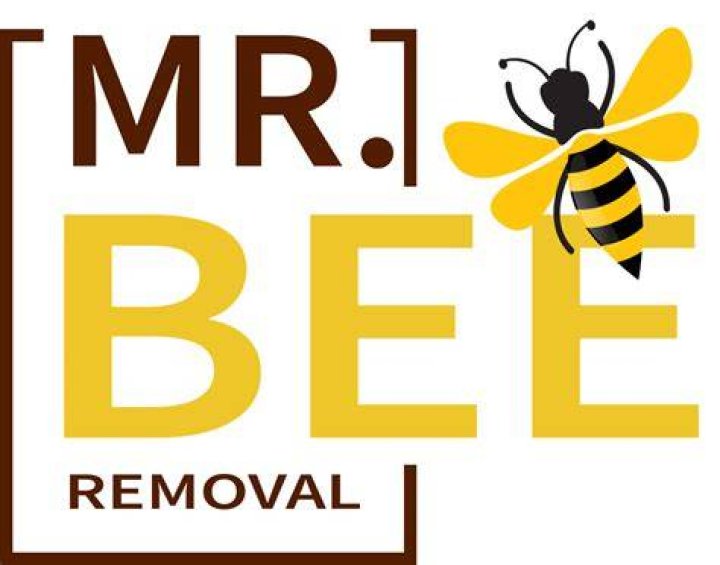 Mr Bee