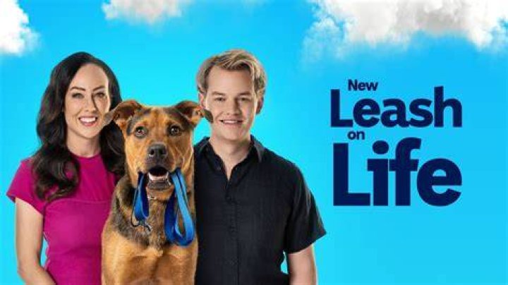 New Leash On Life Presents 2008 'Nuts For Mutts" 7th Annual Dog Show