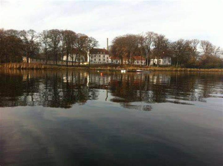 Nyborg education