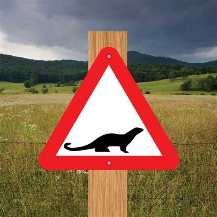 Otter Warning Sign