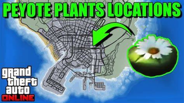 Peyote Map