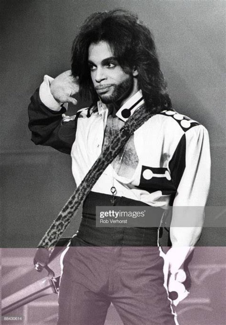 Prince Hand In Hair
