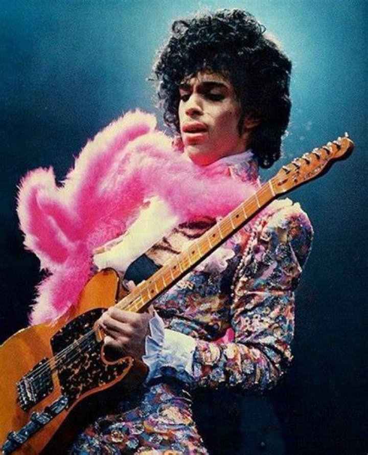 Prince Pink Boa