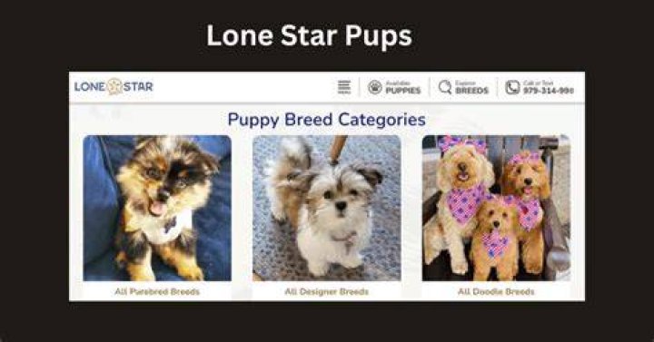 Pups