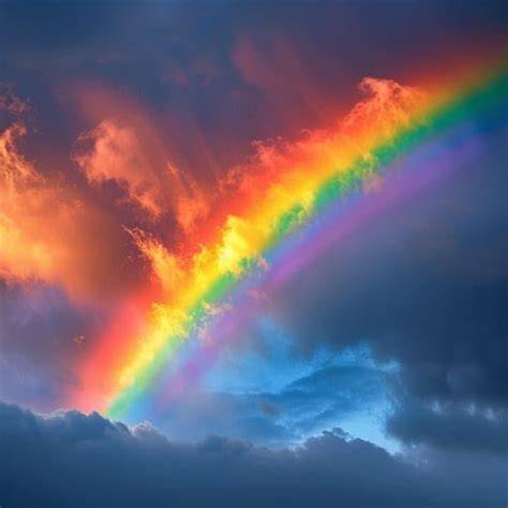 Rainbow's Instagram account