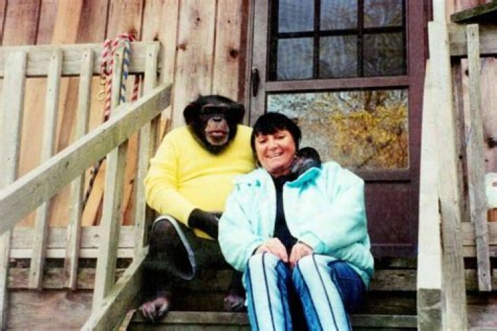 Sandra Herold And Travis