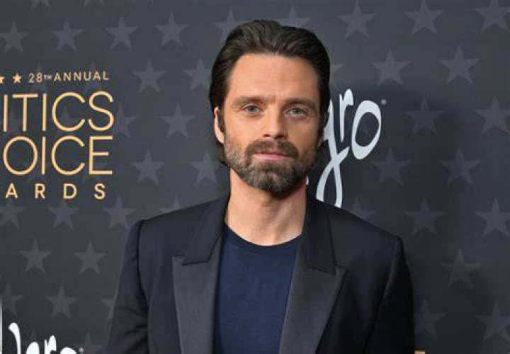 Sebastian Stan Net Worth 2024: What IS The Actor Worth?