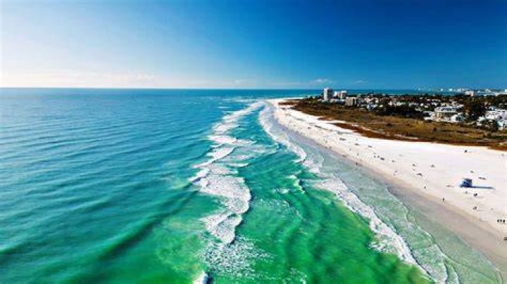 Siesta Key's Chloe Trautman Engaged to Christopher Long: Ring
