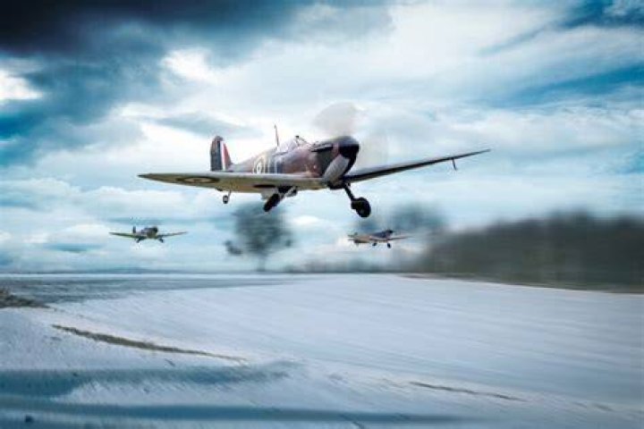 Spitfire Wolf In The Snow