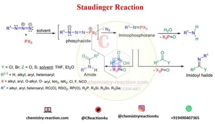 Staudinger's Instagram Account