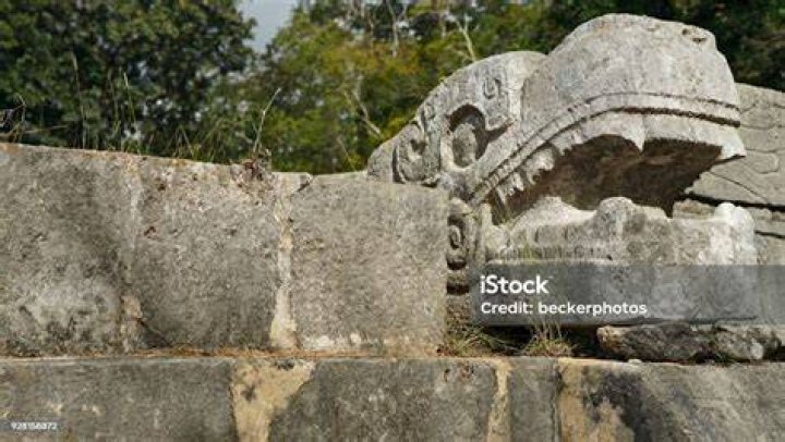 Stone Snake Heads