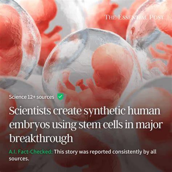 Synthetic Embryos From Stem Cells