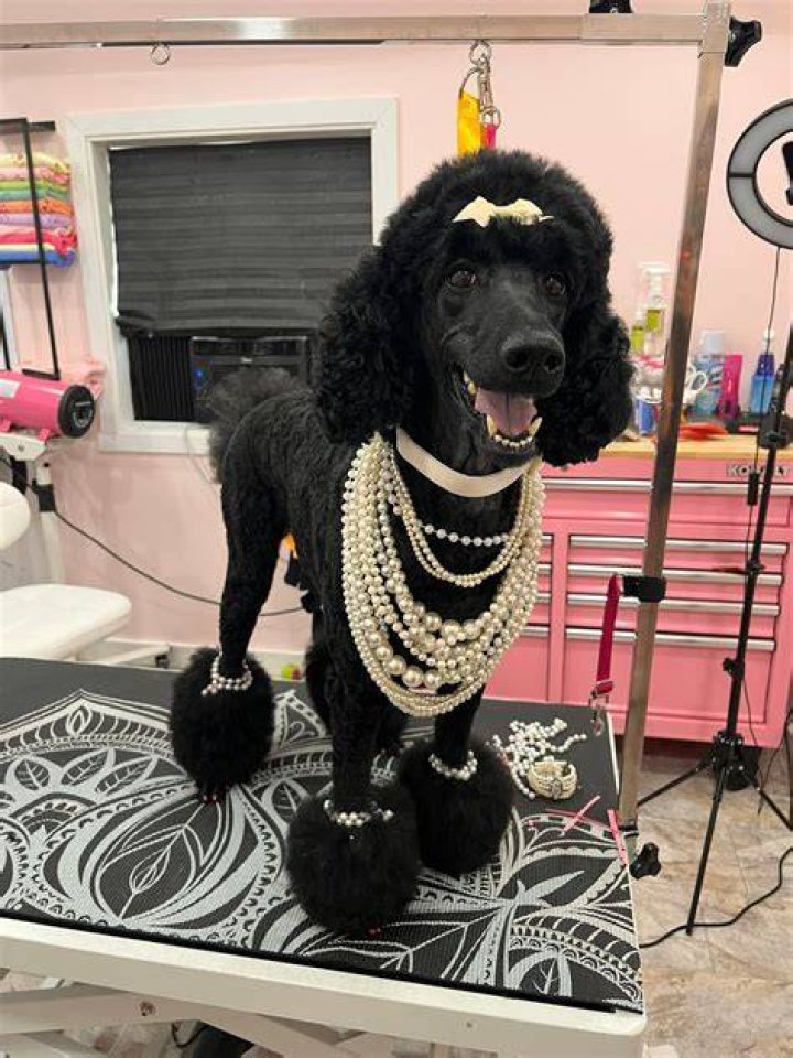 Tammie with her pet dog