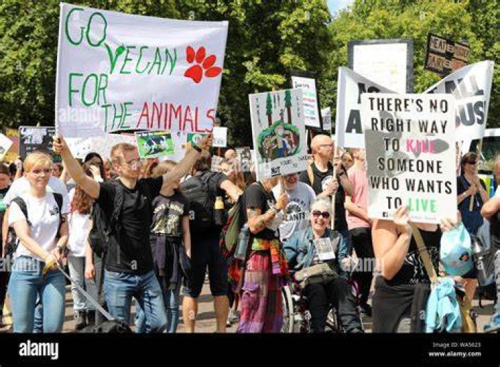Vegan Earthling Protestors