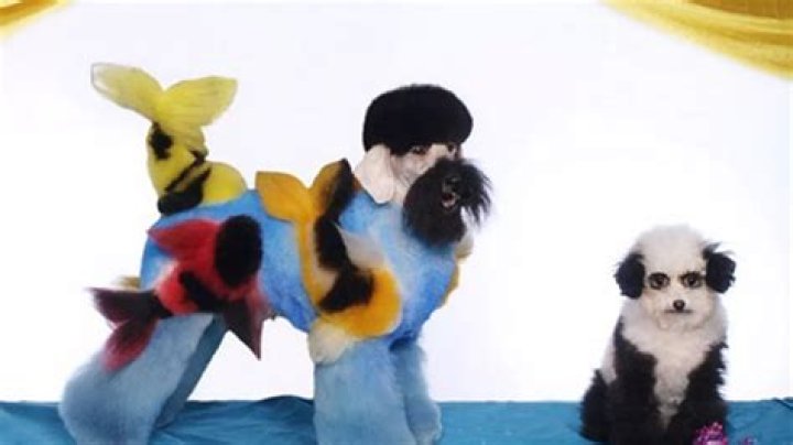 Wacky Dog Grooming