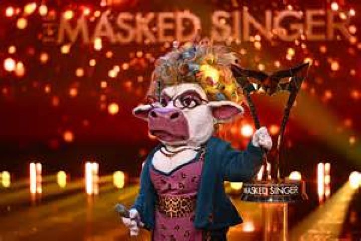 Wer ist Armadillo Masked Singer? – Celebrity.fm