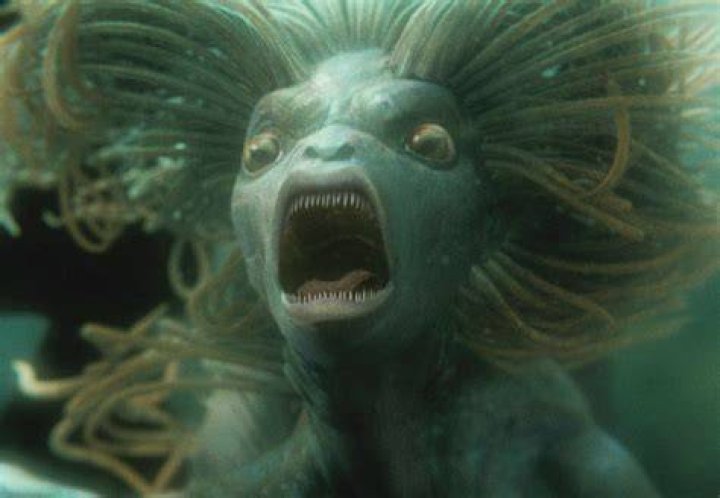 What are the mermaids in Harry Potter called?